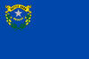 Nevada State Flag