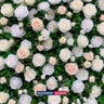 Künstliche Blumen-Eventwand als Hintergrund – Stil 41