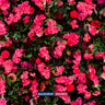 Künstliche Blumen-Eventwand als Hintergrund – Stil 65