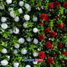 Künstliche Blumen-Eventwand als Hintergrund – Stil 74