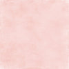 Ivory Matt Surface Texture Background