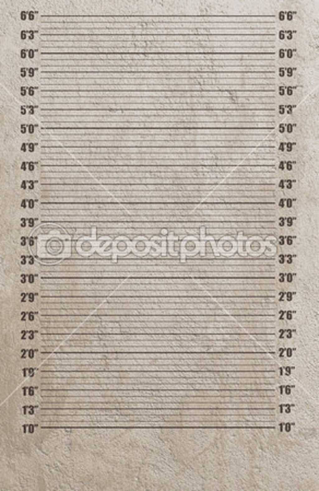 1-6 Inch Mugshot Theme Print Photography Backdrop