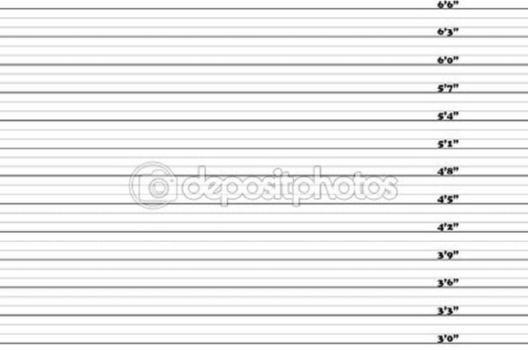 3-6.6 Inch Mugshot Theme Print Photography Backdrop