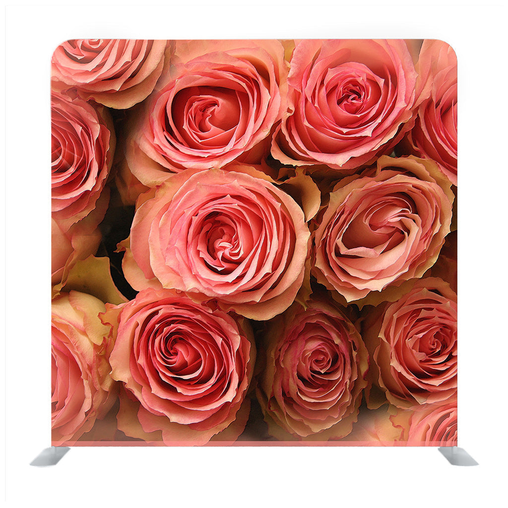 Beautiful Pink Roses Straight Tension Fabric Backdrop – Backdropsource ...