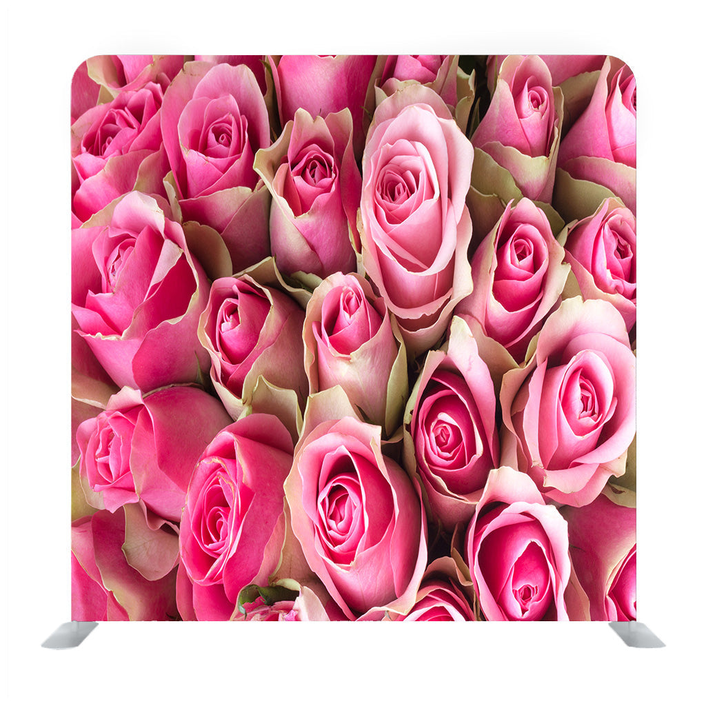 Natural Roses Background Media Wall