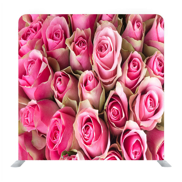 Natural Roses Background Media Wall
