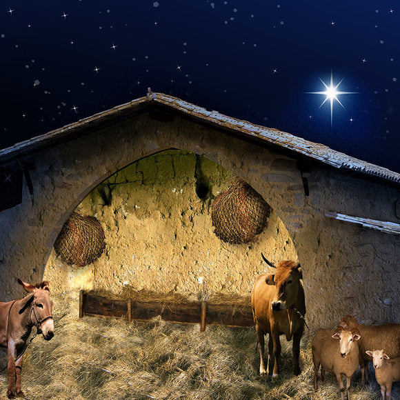 Christmas Stable  Backdrop