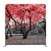 Autumn Park With Color Trees As Nice Natural Background Media Wall