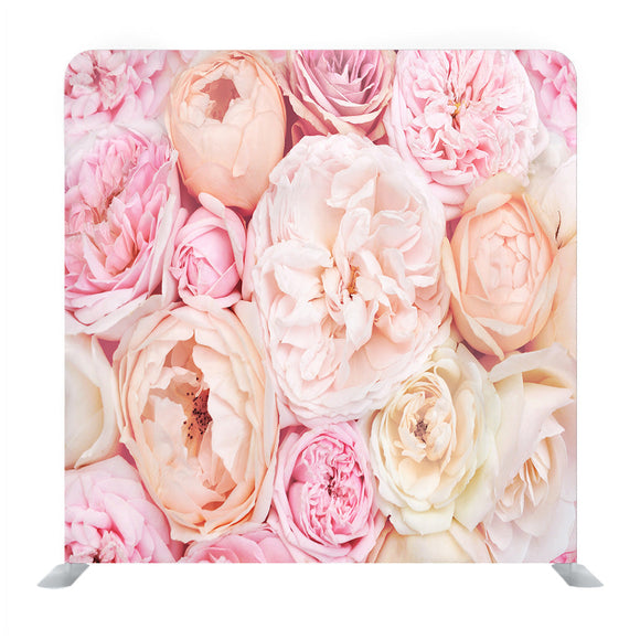Pink Rose For Backgrounds Media Wall